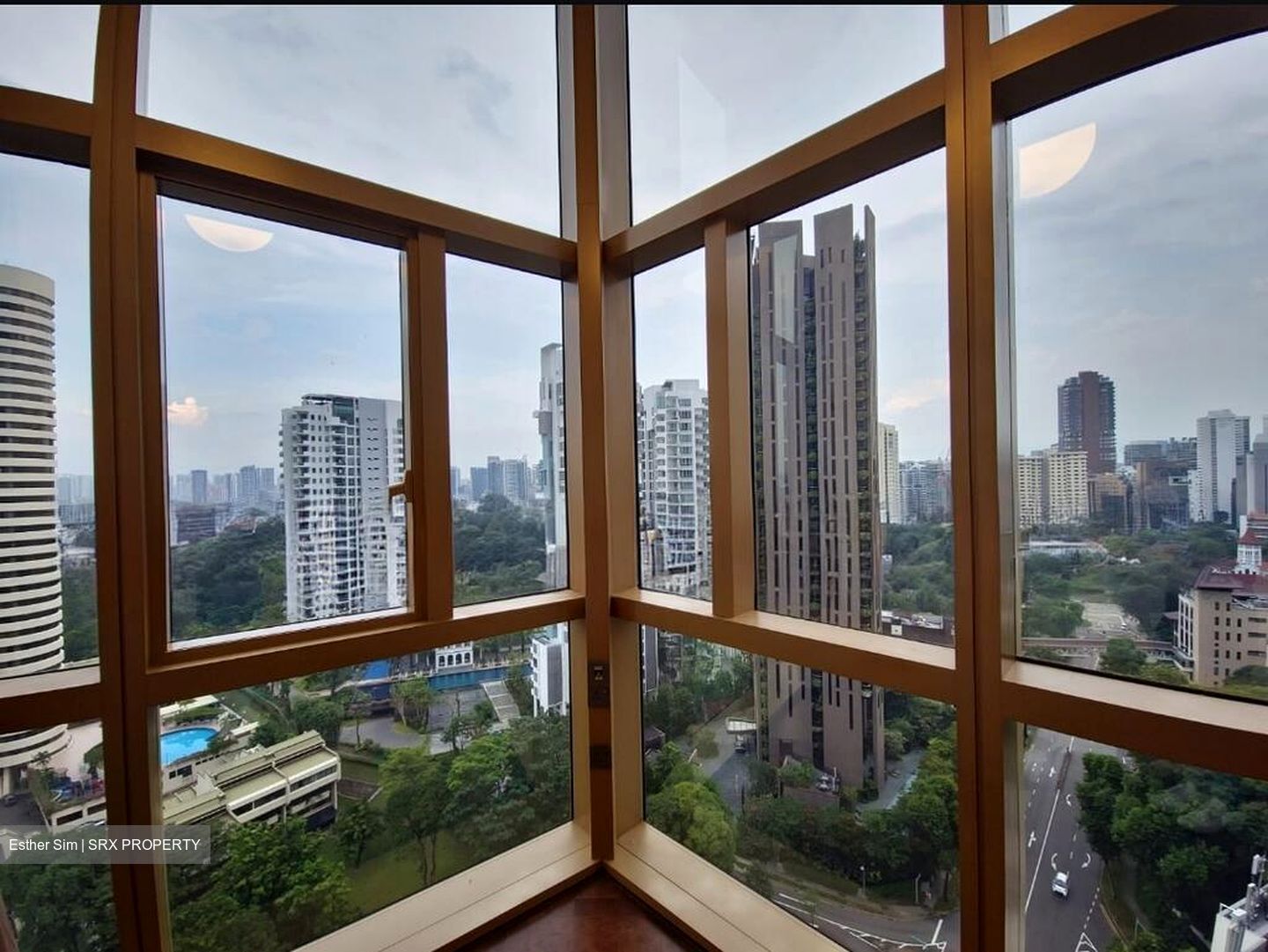 Draycott Park (D10), Condominium #508675181